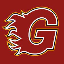 Proud Sponsors of the Guildford Flames