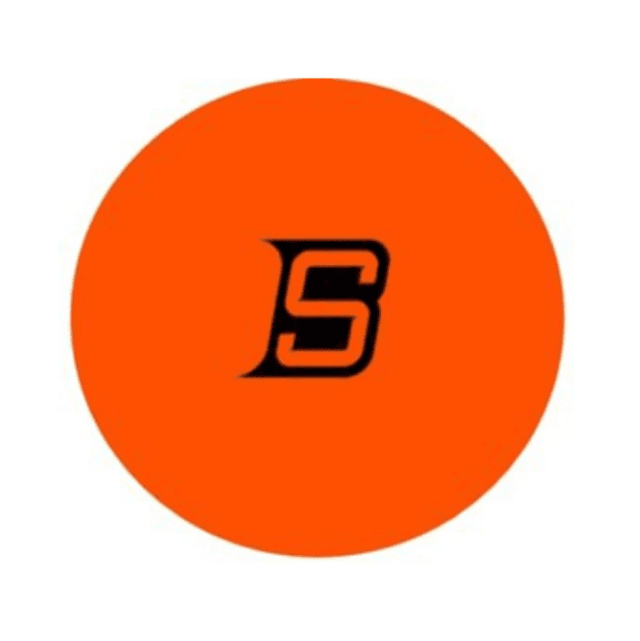 Blue Sports Street Hockey Ball