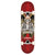 Birdhouse Stage 1 TH Icon Complete Skateboard 8"